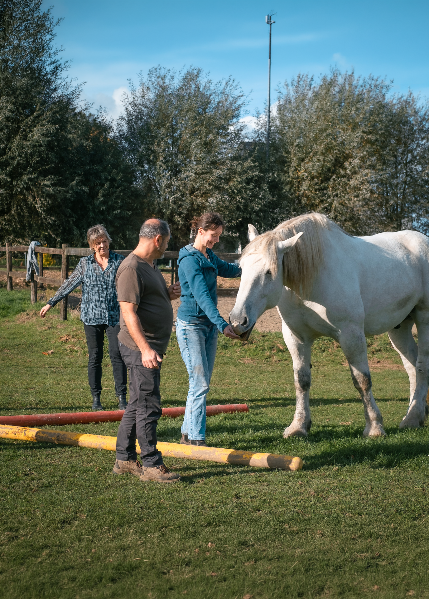 Equicoaching sessie met een paard